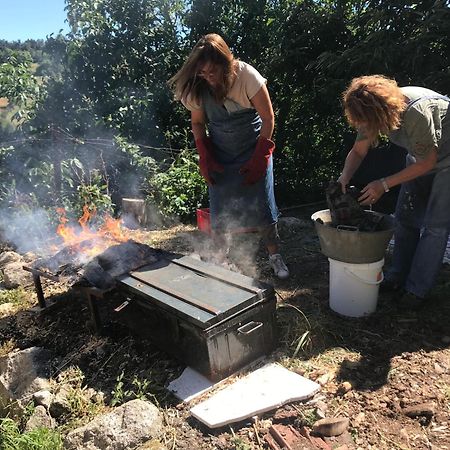 Chambres Et Tables D'Hotes - Les Ateliers De Pontajou - Pelerin Navette Gratuite A Saugues Venteuges Extérieur photo